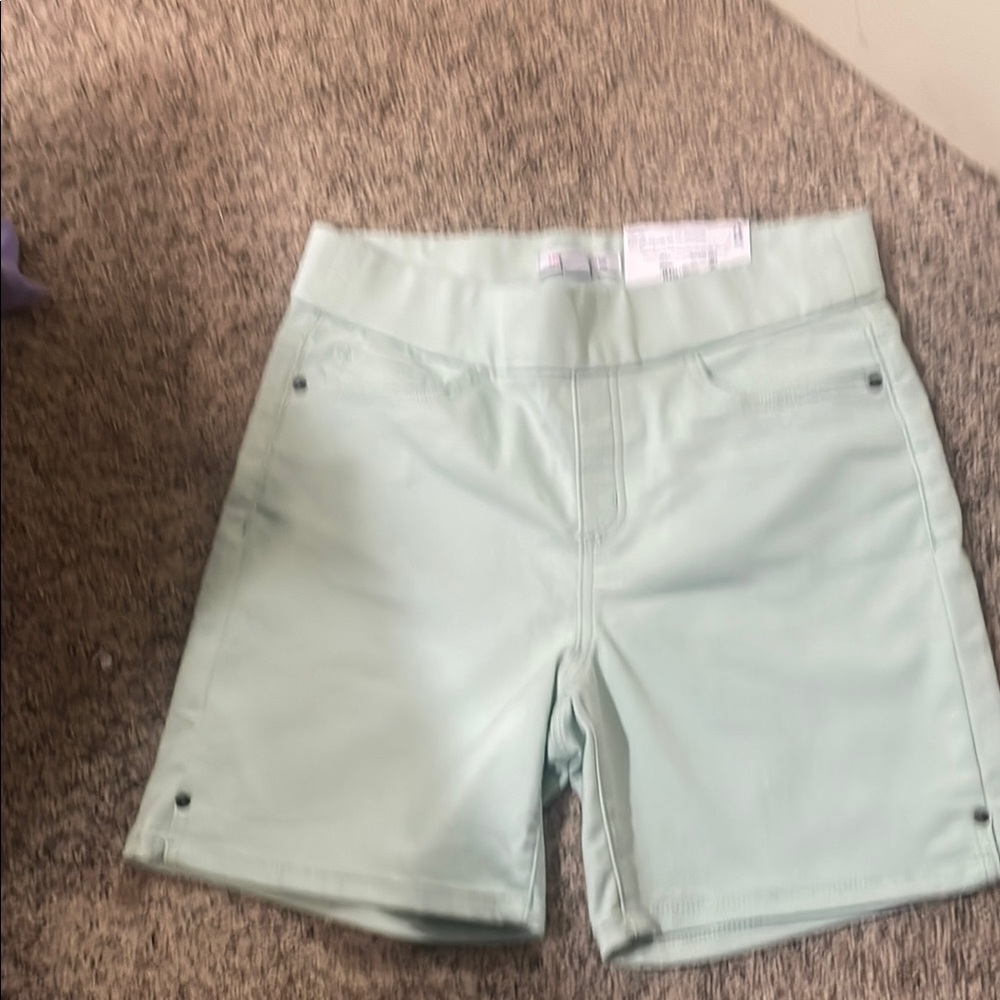Liz Claiborne Light Green High Waist Shorts